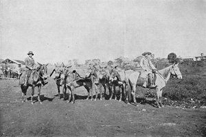 Obchodníci s vnitřkem, Obchodníci s vnitřkem, 1895 od Axel Frick