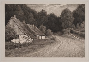 Dánština: Statek u lesa od Axel Holm