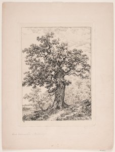 Dub Nielse Ebbesena. Gyllingnæs les od Axel Schovelin