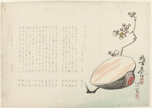 Shell od Ayaoka Yûshin