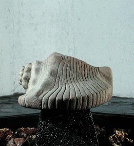 Sea Snail Shell, cca 1500 (viz také 198376 & 207560) od Aztec
