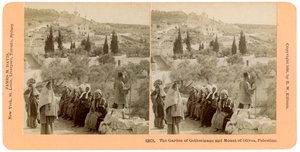 Getsemanská zahrada a Olivetská hora, Palestina, 1898.