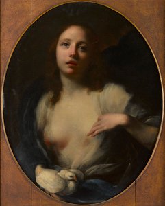 Obraz mladé dívky s bílou holubicí (olej na plátně) od Baldassare (1611-89) Franceschini
