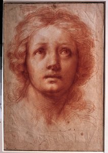 Studie eines Frauenkopfes, der feste Blick richtet sich nach oben. Zeichnung in Tinte und Waschung von Franceschini Baldassare genannt il Volterrano (1611-1689). 17. Jahrhundert. Maße: 0,42x0,28m. Paris, Louvre Museum