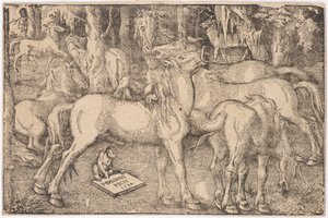Skupina sedmi koní, 1534. od Baldung