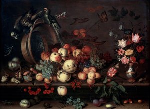 Zátiší s ovocem, květinami a papoušky, 20. léta 17. století od Balthasar van der Ast