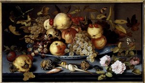 Zátiší z ovoce, květin, mušlí a hmyzu. Obraz Balthasara Van Der Asta (1590-1656) Ec. Hol