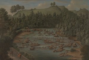 Aysgarth Falls, Yorkshire