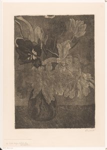 Váza s tulipány od Barbara Elisabeth van Houten (signed by artist)