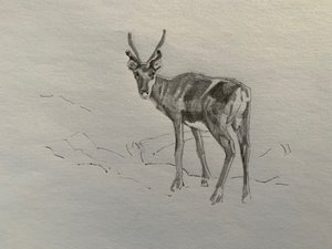 Sob, 2019 od Barbara Hoogeweegen