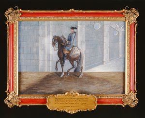 č. 20 Šedý kůň Španělské jezdecké školy předvádějící drezurní krok Volte (wc na papíře) od Baron Reis Eisenberg