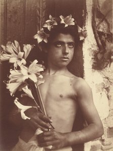 [Chlapec s liliemi] od Baron Wilhelm von Gloeden