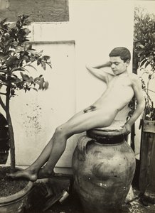 [Nahý mladík v zahradě] od Baron Wilhelm von Gloeden