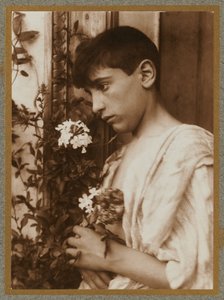  od Baron Wilhelm von Gloeden
