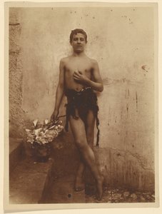 [Mládež s liliemi] od Baron Wilhelm von Gloeden