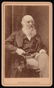 Portrét J. H. Silberta před rokem 1877. od Barraud and Jerrard