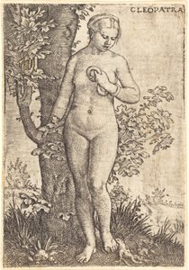 Kleopatra od Barthel Beham