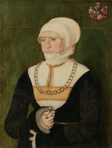 Portrét Magdaleny Pittrichin, 1528. od Barthel Beham