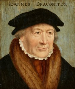 Portrét Johannese Draconita od Bartholomaeus Bruyn the Elder