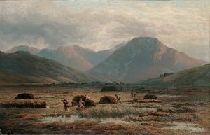 Rašeliniště, Letterfrack, Connemara od Bartholomew Colles Watkins
