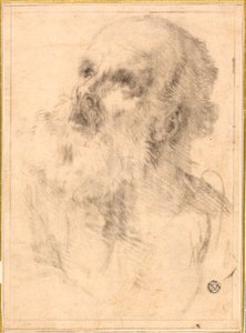 Hlava starého muže od Bartolomé Esteban Murillo