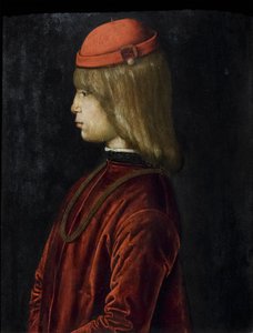 Portrét Guidubalda da Montefeltro, asi 1480-81 (olej na desce) od Bartolomeo (attr. to) Della Gatta