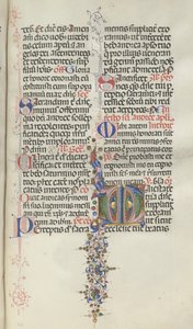 Missale: Fol. 260: Listí s ovocem, 1469.