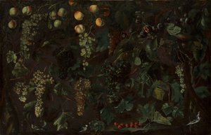 Vinná réva a ovoce, se třemi konipasy, ca. 1615-18.