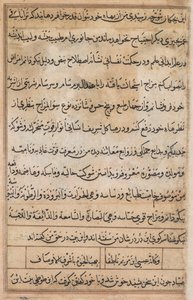 Stránka z Příběhů papouška Tuti-nama: textová stránka, c. 1560. od Basavana