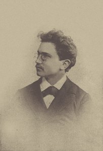 Portrét skladatele Hanse Hubera 1852-1921, 1898. od Basel . Photo studio Taescher and