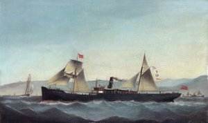 S.S. Glanrheidol od Basi Ivancovich
