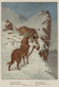 Cestovatel od věrného psa (chromolitho)