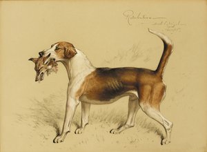 Odškodnění od Basil J. Nightingale