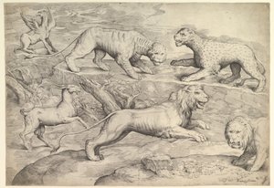 Šest zvířat, včetně lvů, tygra, leoparda, griffina a kozy, ca. 1530-61.