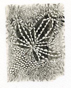 Ivy, 2014, (dřevoryt na papíře) od Bella Larsson