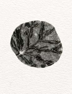 List, 2014, (dřevoryt na papíře) od Bella Larsson