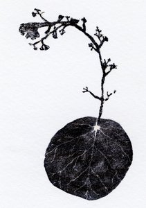 Lichen Leaf, 2014 (dřevoryt, koláž na papíře) od Bella Larsson
