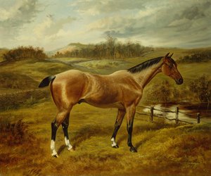 Lovec jahodových roanů v krajině od Benjamin Cam Norton