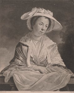 Slečno Baldwinová