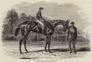 Nancy, vítěz Goodwood Cup, 1851