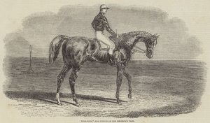 Woolwich, vítěz Císařovy vázy od Benjamin Herring