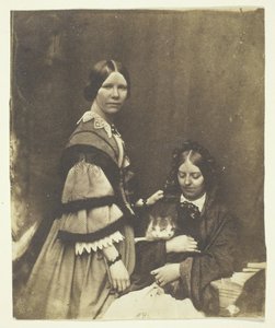 Paní Craik Holding Cat, c. 1858. od Benjamin Mulock