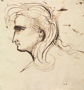 Studie hlavy od Benjamin Robert Haydon