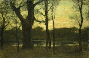 Bazén v lese od Benjamin Rutherford Fitz