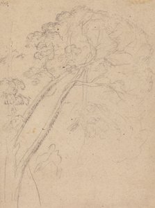Studie kostýmů k portrétu dámy od Benjamin West