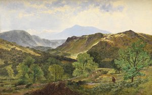 Moel Siabod - v Údolí kůže, 1871 od Benjamin Williams Leader