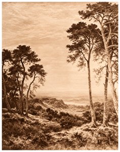 Západ slunce po dešti, 1903 od Benjamin Williams Leader
