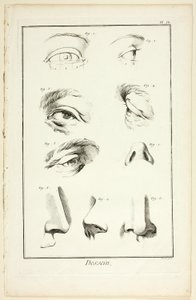 Design: Facial Anatomy z Encyclopédie