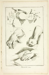 Design: Ruce, z Encyklopédie