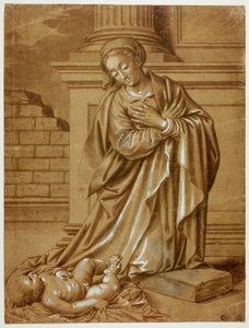 Madonna a dítě od Benvenuto Tisi da Garofalo